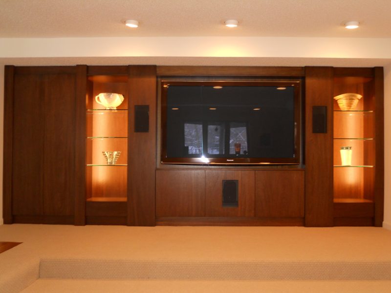 Straight-on view of a dark wood media wall with lit shelves and a TV
